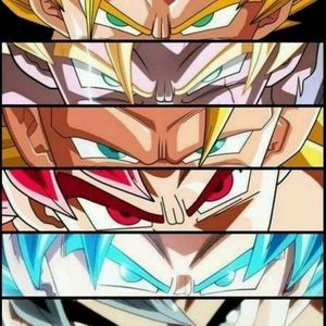 Meet your Posher, Rafael antonio